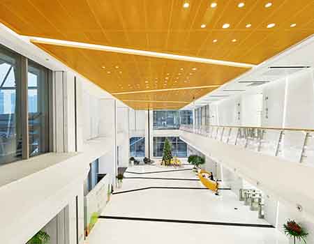 �ⰺ����(�й�)�������޹�˾����